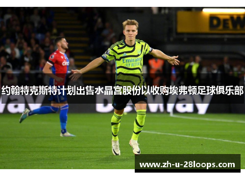 约翰特克斯特计划出售水晶宫股份以收购埃弗顿足球俱乐部