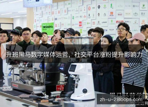 升班黑马数字媒体运营,社交平台涨粉提升影响力 升班黑马数字媒体运营,社交平台涨粉提升影响力
