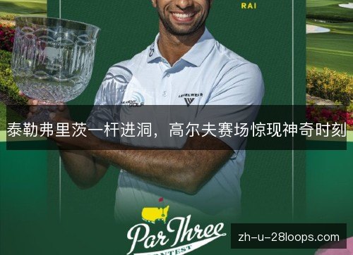 泰勒弗里茨一杆进洞,高尔夫赛场惊现神奇时刻 泰勒弗里茨一杆进洞,高尔夫赛场惊现神奇时刻